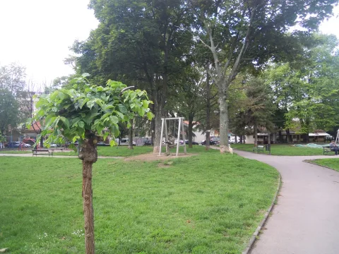 Čuburski park - ekološka lokacija