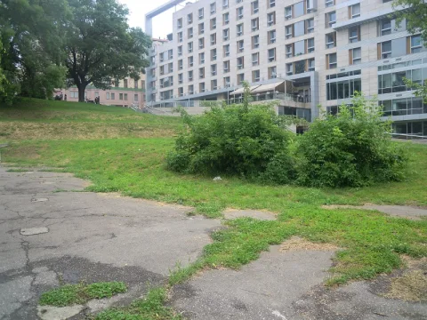 Terazijska terasa - ekološka lokacija