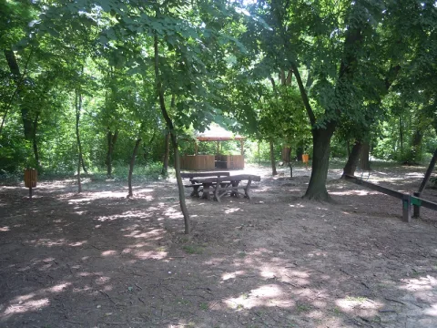 Bajfordova šuma - ekološka lokacija